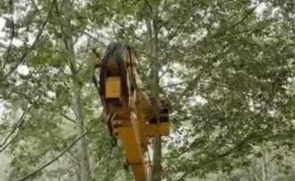 北京通报梅源里小区拆鸟窝事件，对相关人员依法处罚