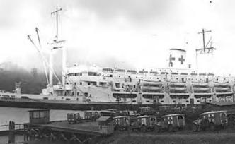诺亚方舟：两次世界大战中的英美海军医院船
