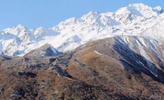 喜马拉雅山的树线如何爬升？中科院团队发现不仅是气候原因