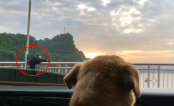 女子拍风景意外拍下路人跳江瞬间，人已失踪