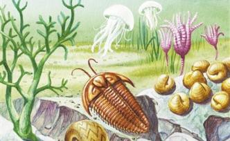 2.5亿年前，是谁“谋杀”了海洋中的八成生物？