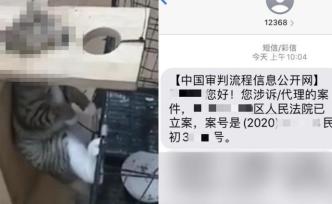 独家丨12人同时异地起诉虐猫者范源庆，一家法院已立案