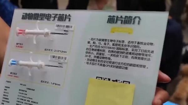 重庆江北办小狗电子身份证：减少流浪数量