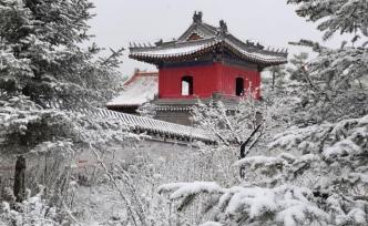 北京百花山5月飞雪：山花与雪景相映成趣