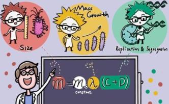 细菌为何有大有小？中国科学家挑战两大法则提出全新“公式”