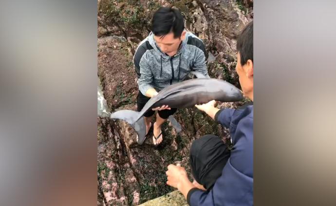 海豚搁浅海滩，被救后回游三次方离去