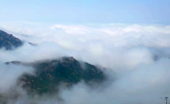 仙境！青島嶗山巨峰現平流霧