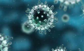 世界范围内的科学家和政界人士一致确信新冠病毒来自自然界