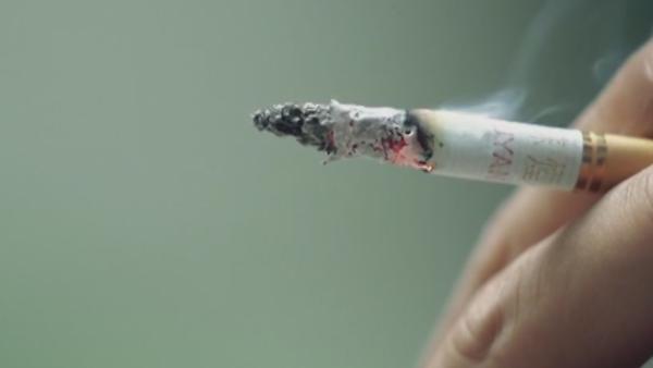 戴秀英委员：建议提高烟草税和烟价，以进一步控烟
