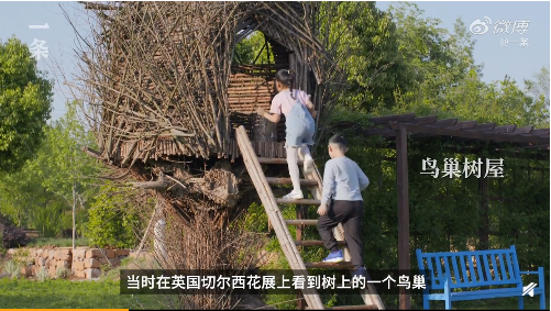 一对夫妇在上海乡下花400多天改造宅基地，图个啥？