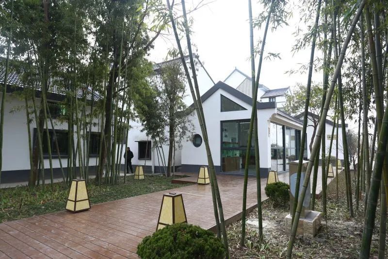 一对夫妇在上海乡下花400多天改造宅基地，图个啥？
