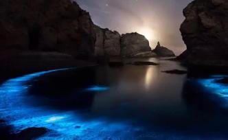 大连海域现“荧光海”宛若蓝色星河，为微生物释放光亮所致
