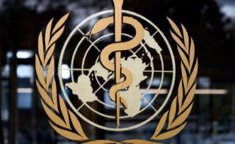 世卫总干事谭德塞宣布成立世界卫生组织基金会