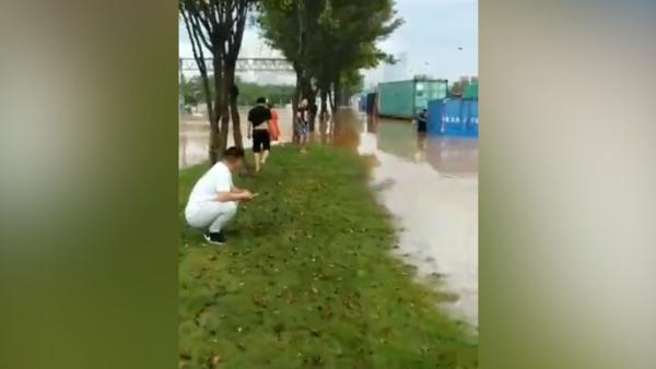 广州暴雨货车司机救人溺亡，被救者妻子：心里很不好受