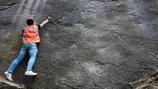 重庆发现侏罗纪大型肉食恐龙足迹