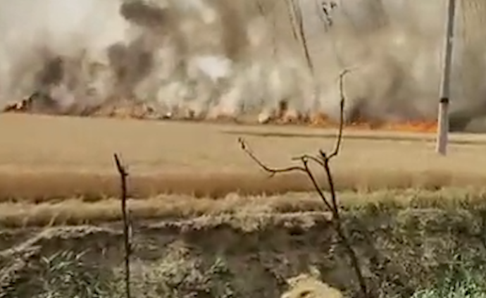 菏泽百亩麦田着火，应急管理局：收割机碰电线引发