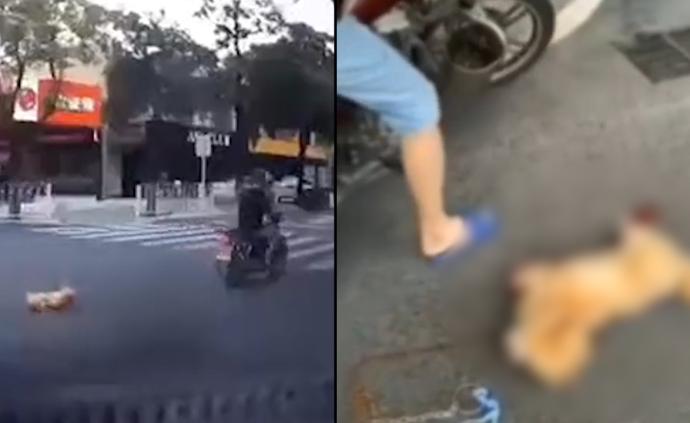 被指虐狗拖拉几条街，遭人肉后摩托车司机老婆报警：好心放生