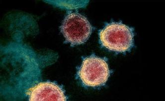 血清抗体检测揭示中国人群新冠病毒感染状况