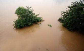 珠江流域北江2020年第1号洪水形成，水利部指导防御工作