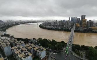柳州水文站预测将出现84米洪水，水位上涨迅速