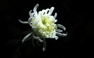 东北石油大学原党委书记姜淑卿教授逝世，享年83岁