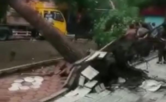 黑龙江鸡西市遭大风袭击，已造成2人死亡