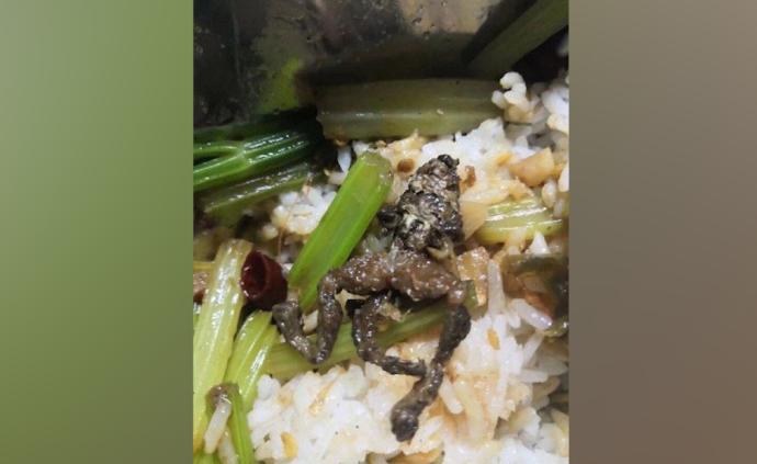 江西一高校學(xué)生稱(chēng)食堂飯菜中吃出煙頭蝌蚪等,校方:正處理