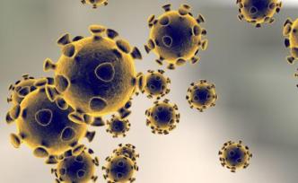 研究显示：英国新冠肺炎疫情可能存在1300多个源头