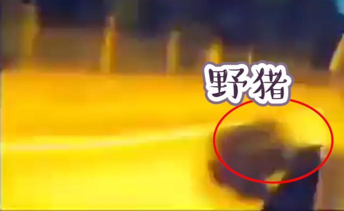 特斯拉車主稱自動駕駛救一命，馬斯克點(diǎn)贊