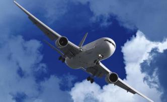 民航局发出首份熔断指令：南航一国际航班发现17位阳性旅客