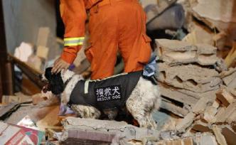 温岭槽罐车爆炸仍有5人失联，搜救犬参与现场救援受伤