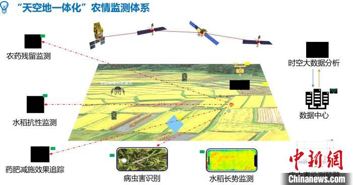 电子科技大学研发的“天空地一体化水稻农情监测”系统。 电子科大供图