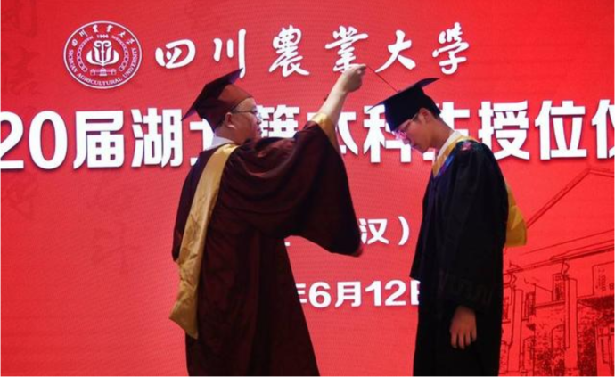 四川農業大學跨越千里,為17名鄂籍學生授學位