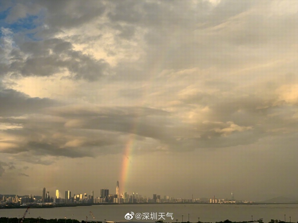 澎湃新闻太美了！雨后彩虹桥连接深圳香港两地