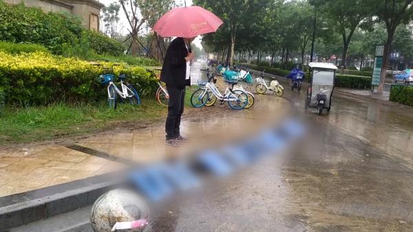 老人雨后捞到50个车牌，儿子路边等失主