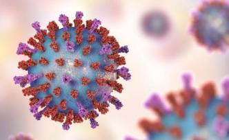 新冠病毒的D614G突变为何感染力更强？中国学者详细解析