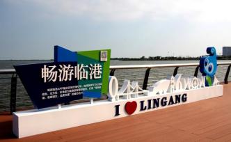 上海临港新片区规划：2035年将建成世界一流滨海城市
