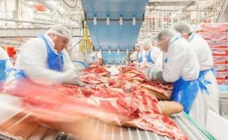 德国又有两家肉类加工厂出现新冠聚集性疫情 