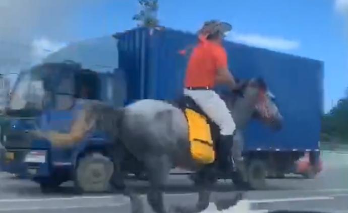 東莞“牛仔男”騎馬上路馳騁，身旁滾滾車流