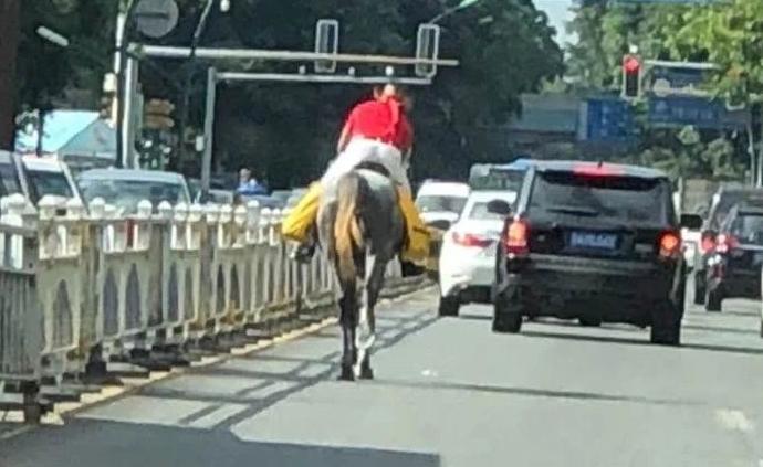 “牛仔男”騎馬上路馳騁，身旁車流滾滾