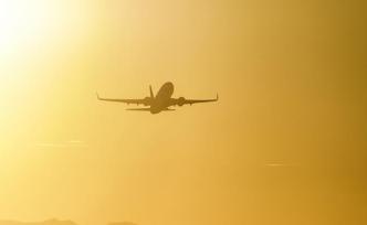 巴基斯坦航空部长：巴民航现役飞行员持假飞行执照占比超三成