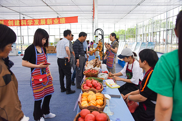 乡村振兴,浦东,惠南镇