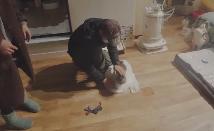 寵物偵探：尋找了1000只丟失的寵物