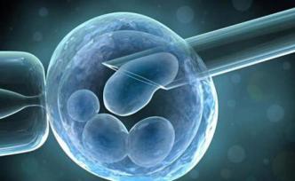 人类胚胎基因编辑风险多大？密集新研究表明：造成染色体混乱