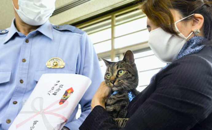 日本喵星人救助落水男子有功，警方奖励送猫粮