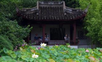 上海超九成公园免费开放，正加紧研究其余公园免费、降价政策