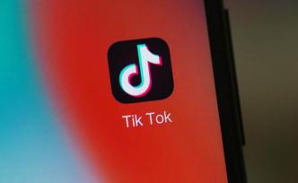 印TikTok用户对封禁失望，美媒称全球互联网进一步分裂