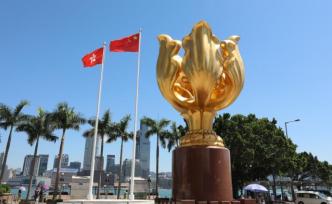 香港四个警察职方协会联合声明：全力支持通过涉港国安法草案