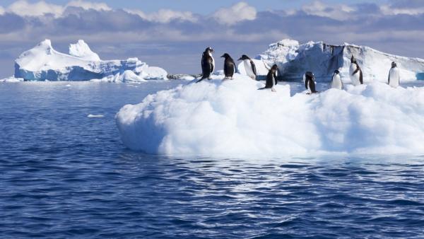 30年增温1.8度！新研究称南极变暖程度超过全球水平3倍