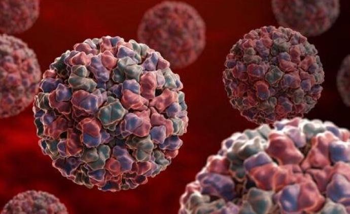 张文宏:d614g突变是否预示病毒传播失控与疫苗失效